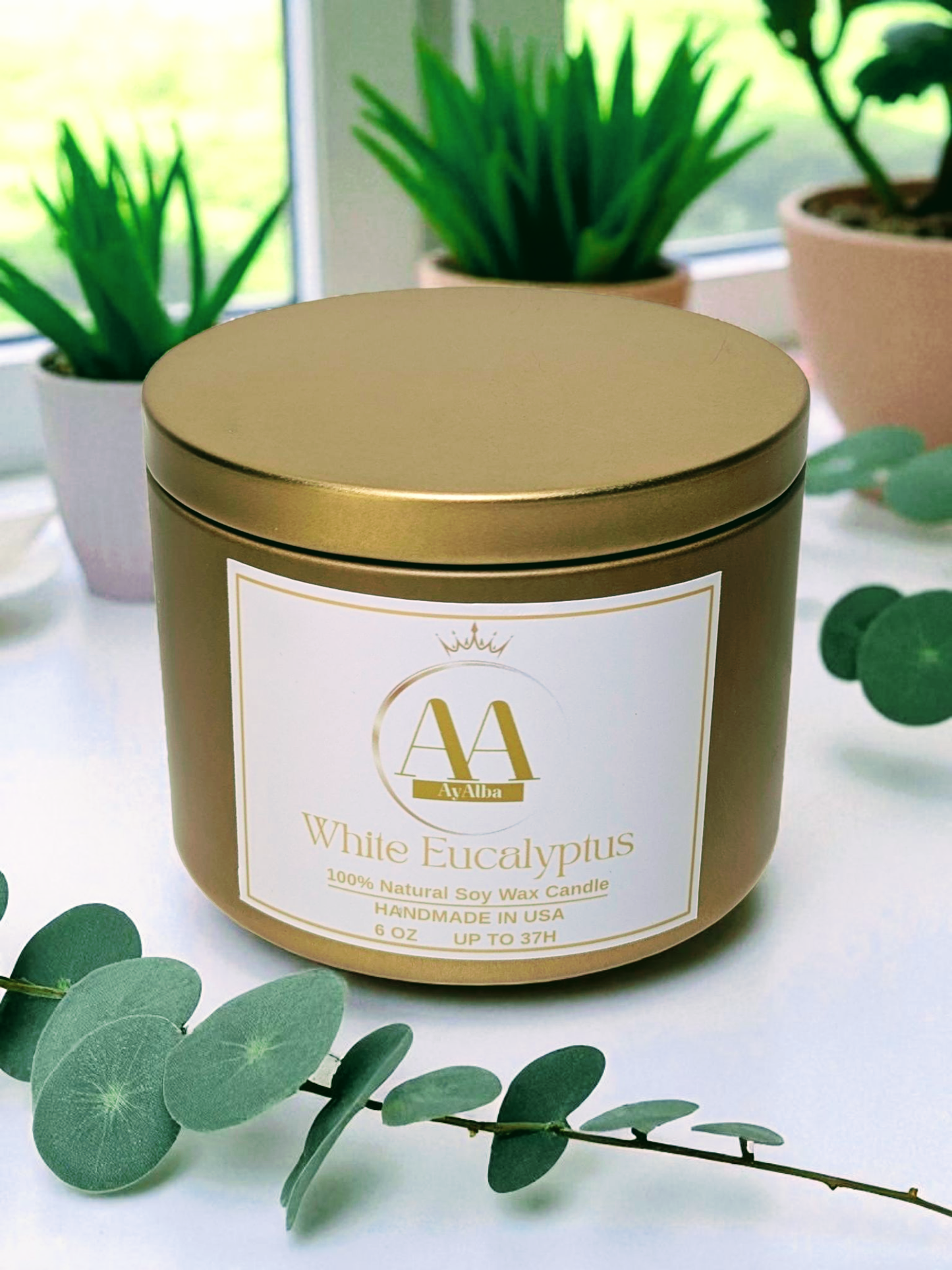 White Eucalyptus - 6oz